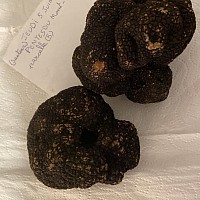 Truffe et Chanpignon