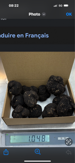 truffe d’été fraîche 190€ kilo