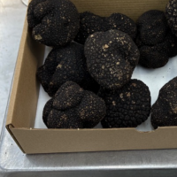 Truffe fraîche d’été 190€le kilo